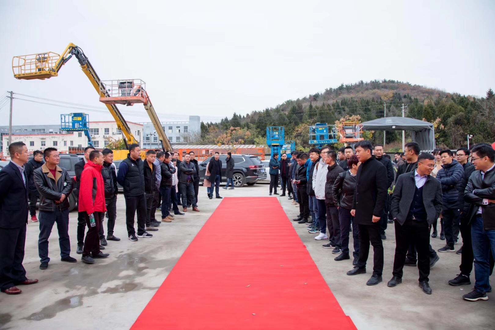 1583575753695436.jpg 淳海56.jpg